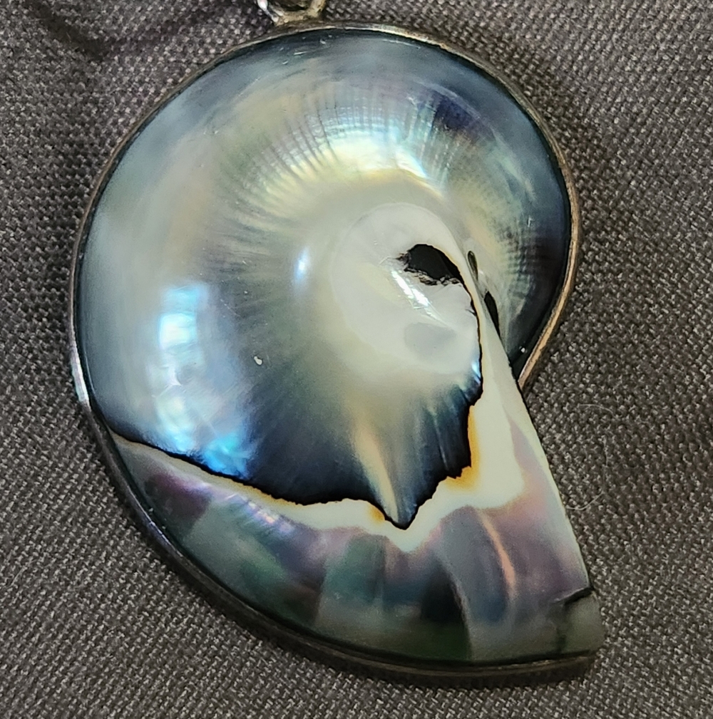 Sterling Silver Nautilus Shell Dangle Earrings La… - image 7